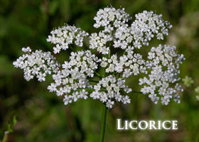 f-licorice.jpg
