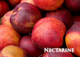 f-nectarine.jpg