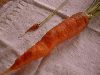 Organic Carrot